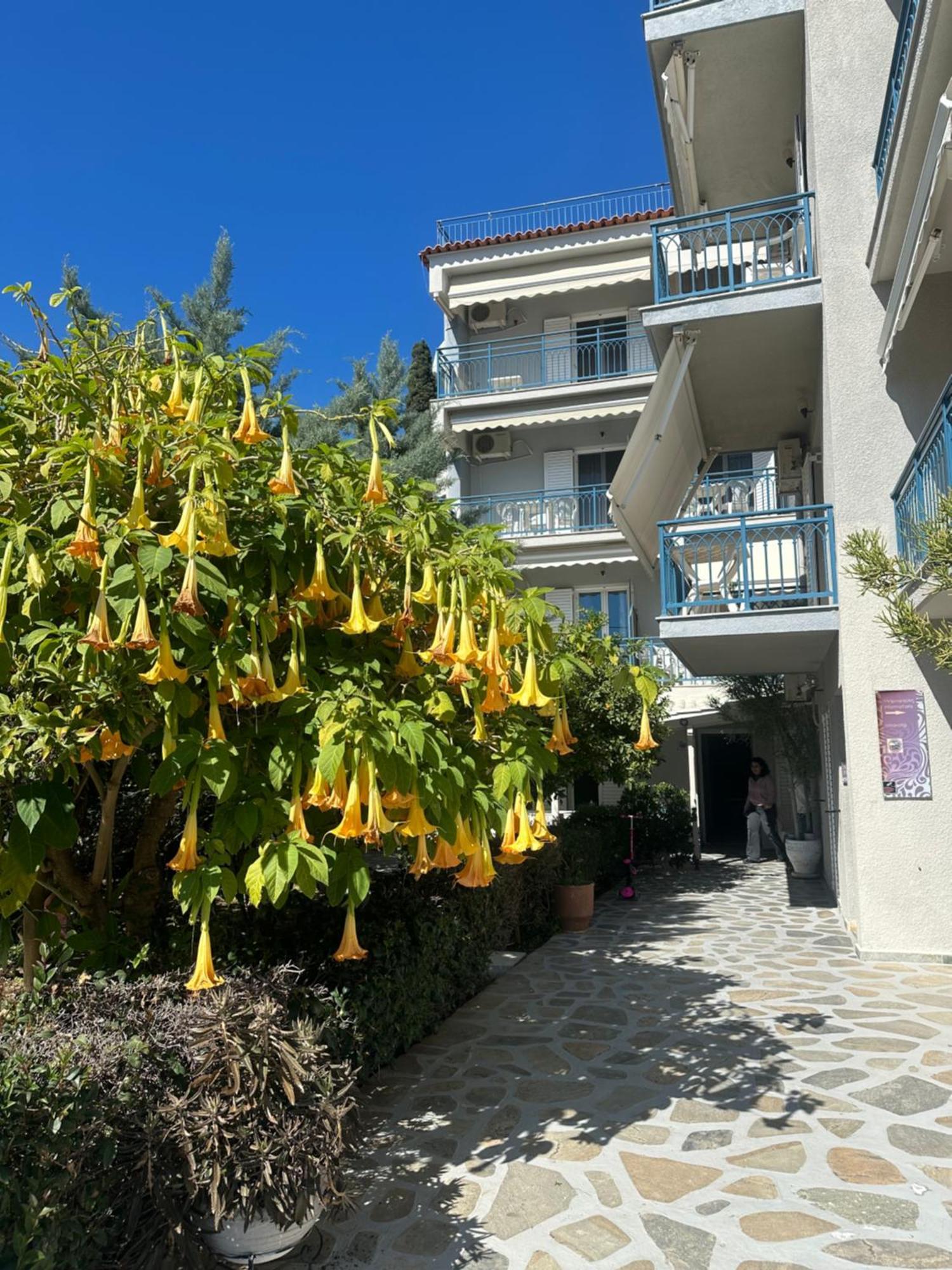 Poros Town Drossinos Studios מראה חיצוני תמונה