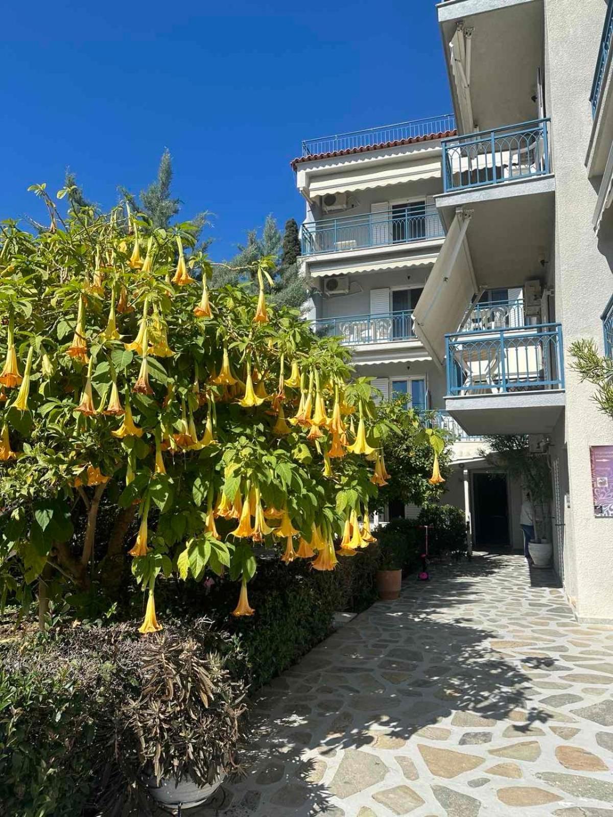 Poros Town Drossinos Studios מראה חיצוני תמונה